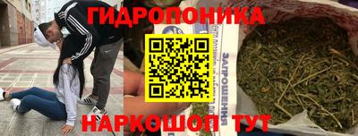 Альфа ПВП Камышлов