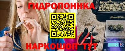 Альфа ПВП Камышлов