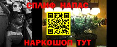 Альфа ПВП Камышлов
