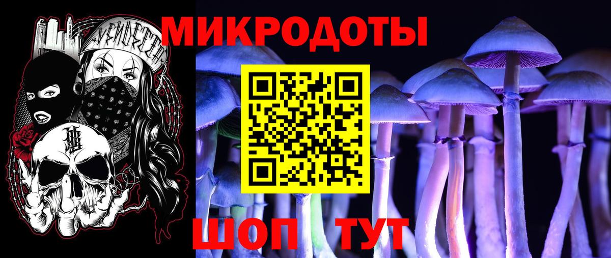 Псилоцибиновые грибы MAGIC MUSHROOMS Коммунар